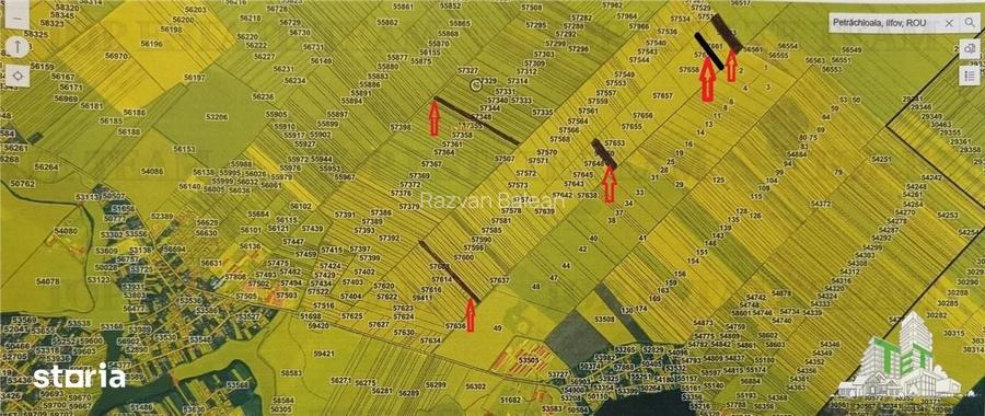 Oferim spre vanzare 6 loturi de teren extravilan (agricol) in Petrachi
