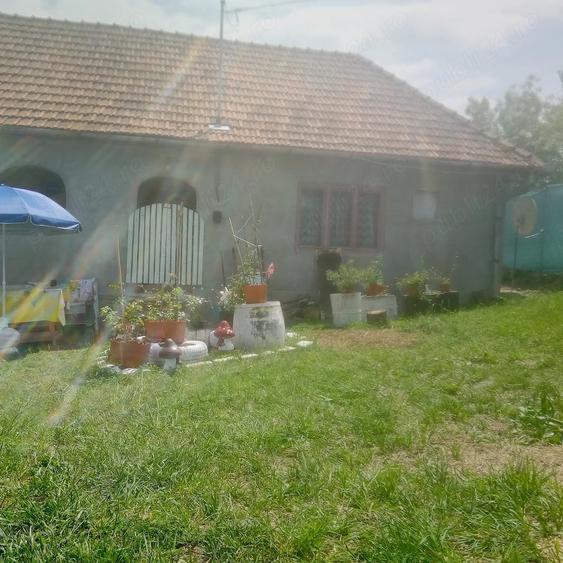 Casă cu Teren 1450 Mp în Căraci