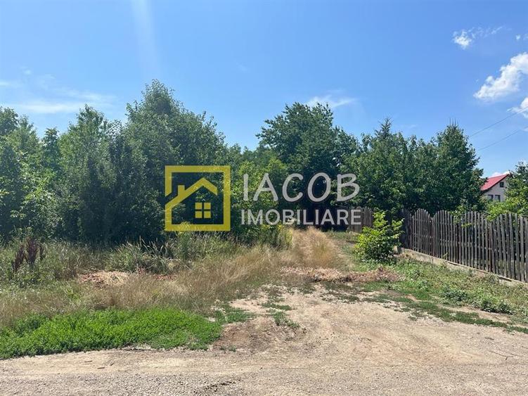Teren Construcții intravilan de 5165 mp, în Narcisa
