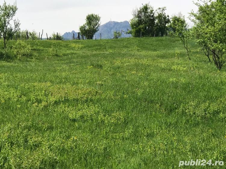 Teren în Stoenești