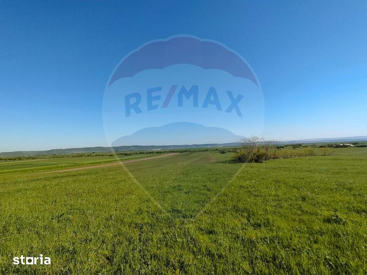 Teren de 1668 mp, în Gura Râului