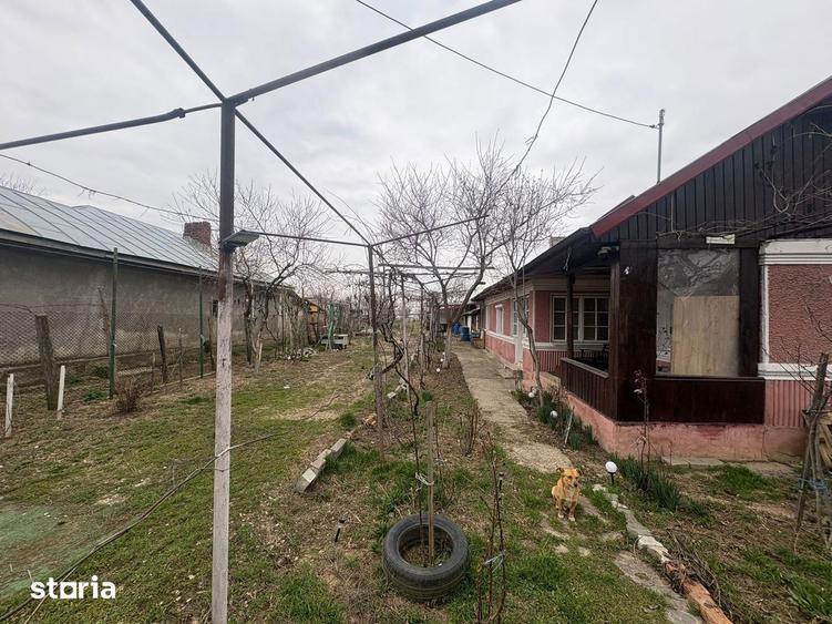 Teren 1300 mp + Casa din caramida | Merii Petchii, Ilfov - 5