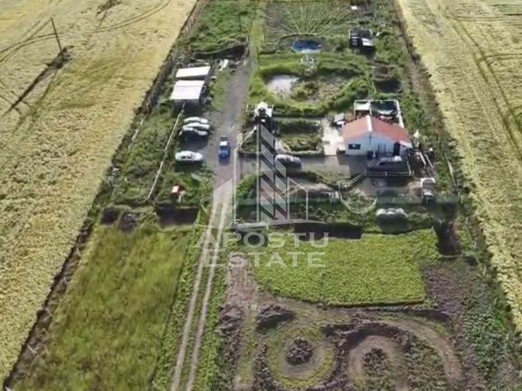 Farmhouse la 14km de Timisoara, teren agricol 1ha - 4