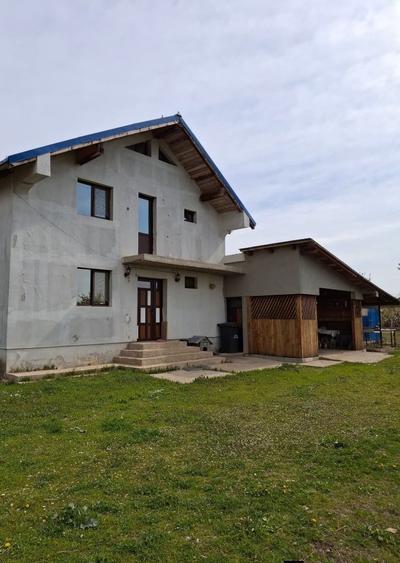 Casa de vanzare ,Teleorman, Videle,1700mp - 8