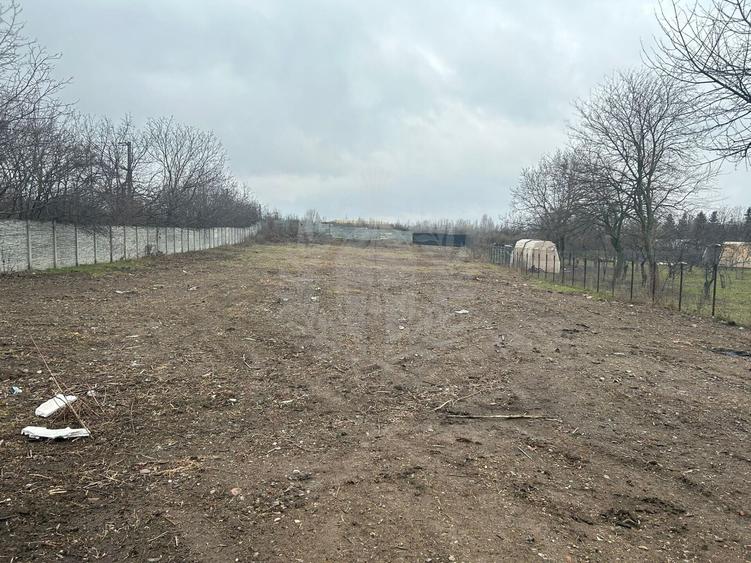 Teren Construcții intravilan de 2490 mp, în Mihai Bravu