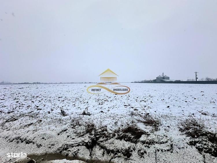Teren de 4579 mp, în Săucești
