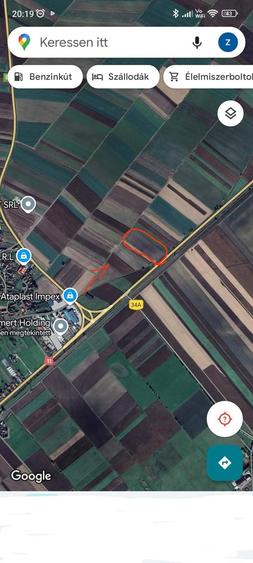 Teren agricol extravilan de 7300 mp, în Chichiș