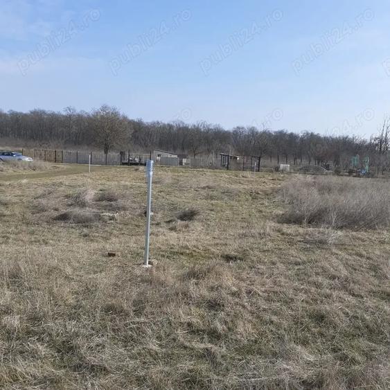 Vand teren intravilan 440mp padure Vladimirescu - 4