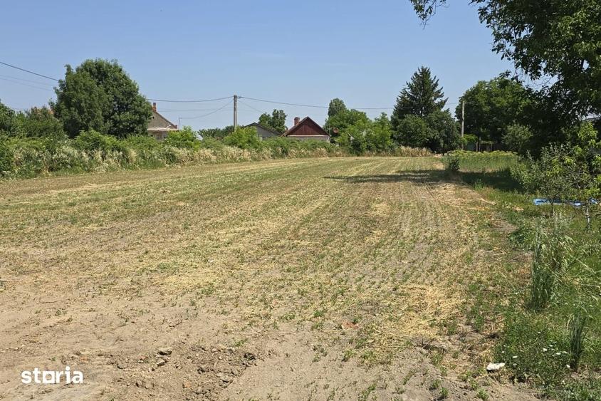 Teren de 850 mp, în Tămășeu