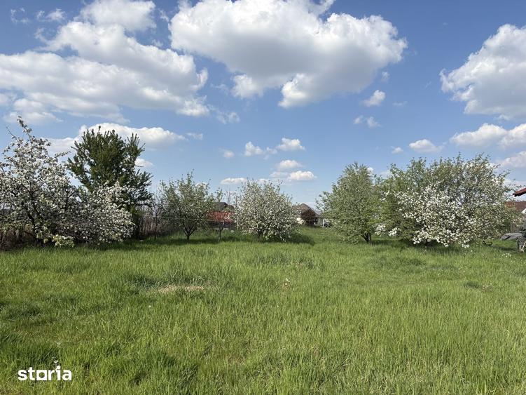 Teren de 4600 mp, în Sânmartin