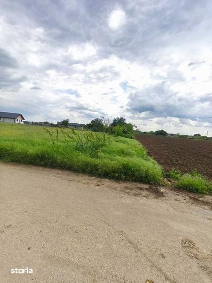 Vand teren intravilan sat Varasti- Giurgiu - 5
