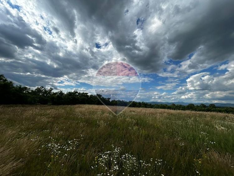 Teren agricol intravilan de 5000 mp, în Satulung