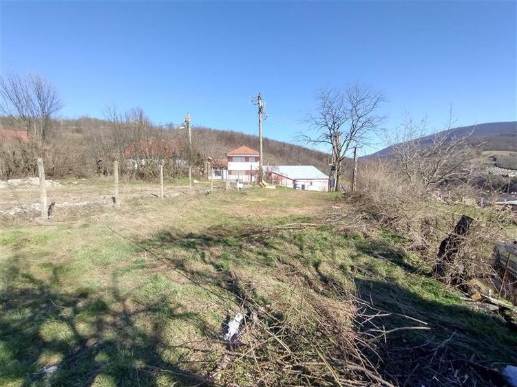 Teren Construcții intravilan de 3800 mp, în Vest