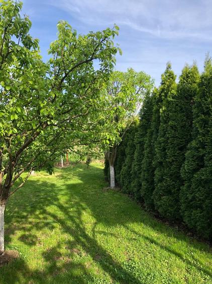 Casă cu 6 camere cu Teren 1500 Mp în Călugăreni