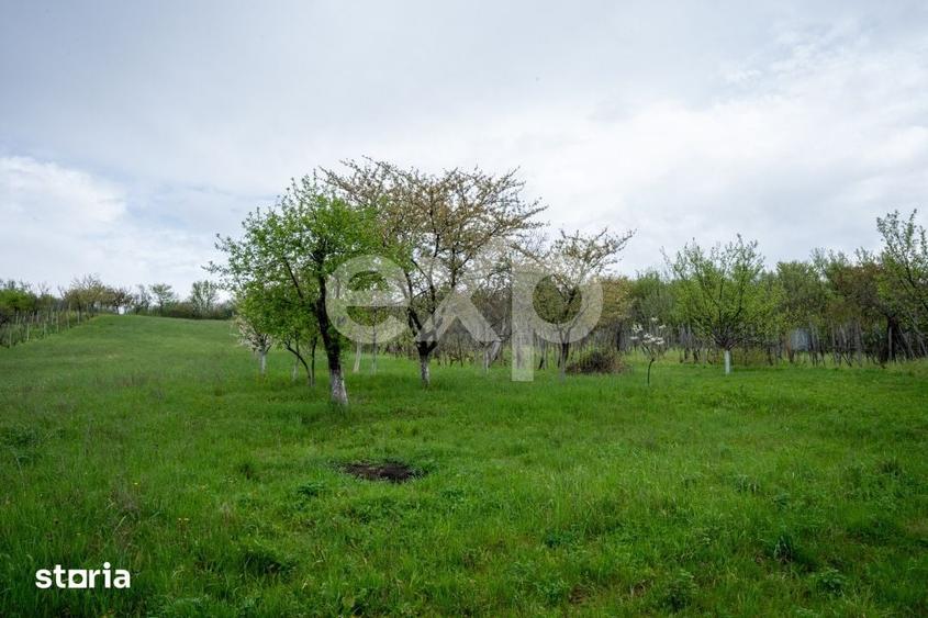 Casă cu 4 camere cu Teren 6436 Mp în Central