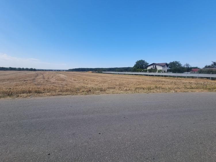 Teren agricol extravilan de 6200 mp, în Gruiu
