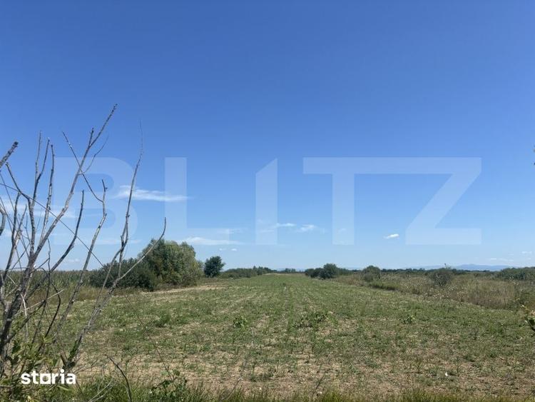 Teren de 62000 mp, în Viile Satu Mare