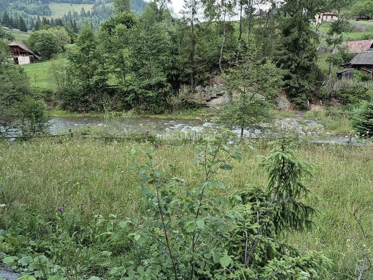 Vand teren in fundu Moldovei Suceava