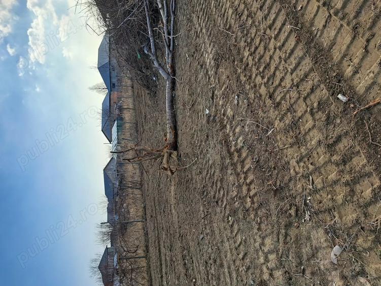 Teren de 1000 mp, în Câmpineanca