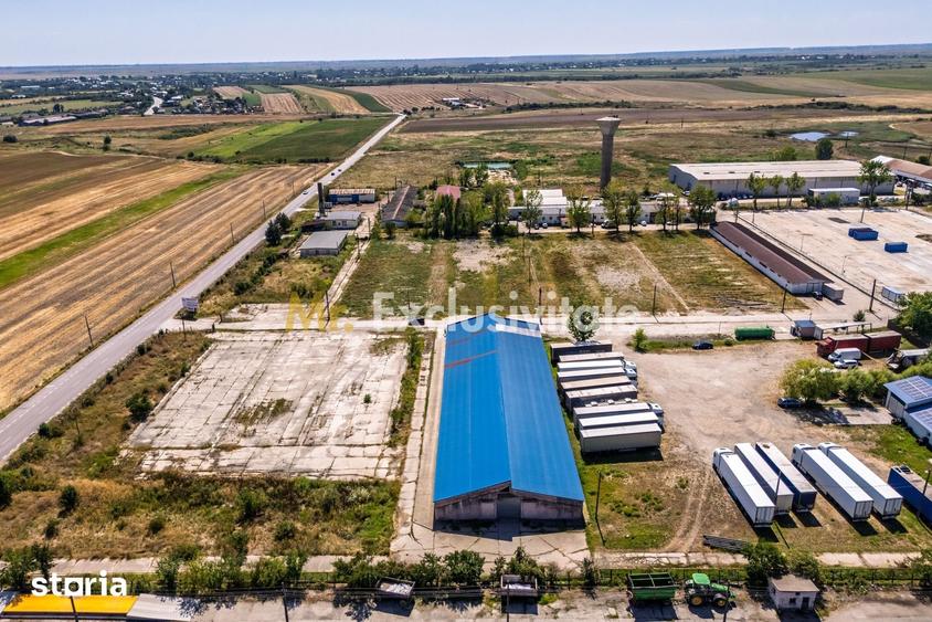Teren de 16000 mp, în Căteasca