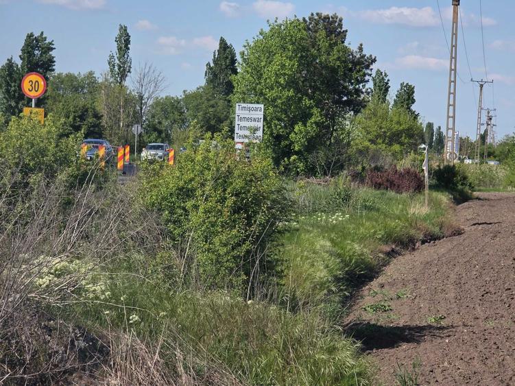 Teren de 40000 mp, în Chișoda