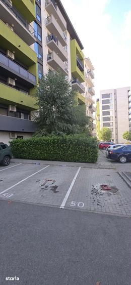Apartament 3 camere de inchiriat, Prima Nufarul - 6