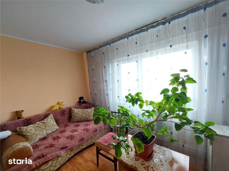 Apartament cu 2 camere semidecomandat în Broșteni
