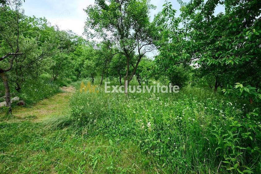 Casă cu 3 camere cu Teren 4696 Mp în Central