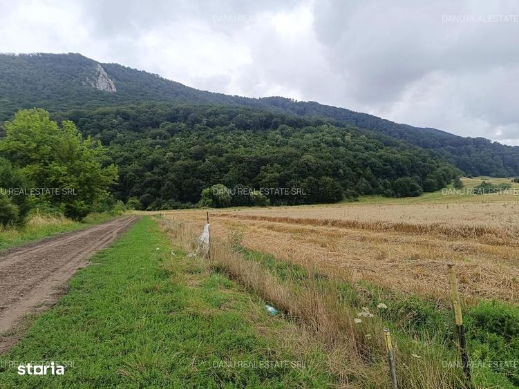 Teren de 16500 mp, în Bartolomeu