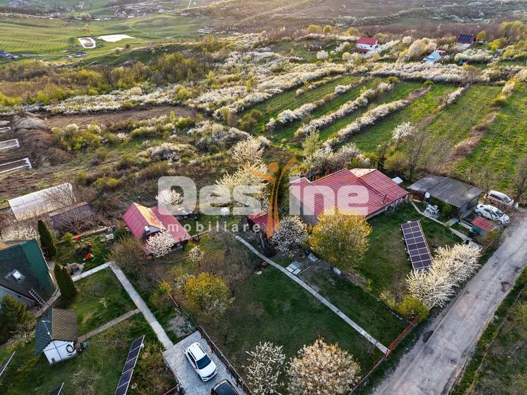 COMISION 0% CUMPARATOR - Teren intravilan 900 mp - Vișan, Barnova - 3