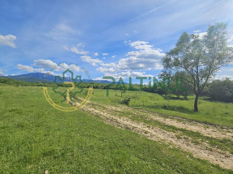 Teren agricol extravilan de 2600 mp, în Racovița