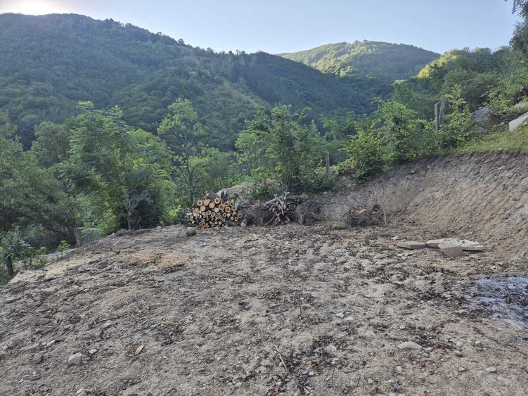 Teren de 800 mp, în Căpâlna