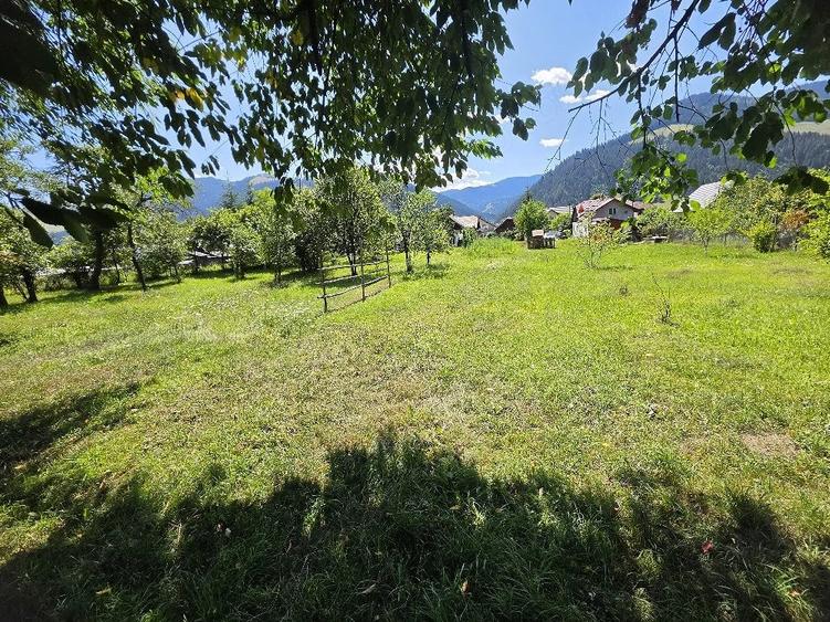 Teren de 1350 mp, în Borca