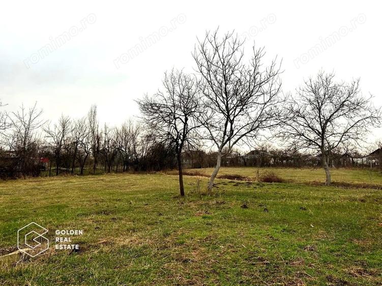 Teren de 2880 mp, în Șiria
