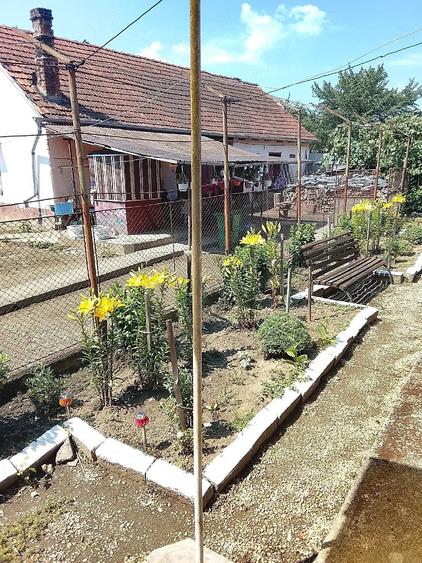 casa +gradina - 5