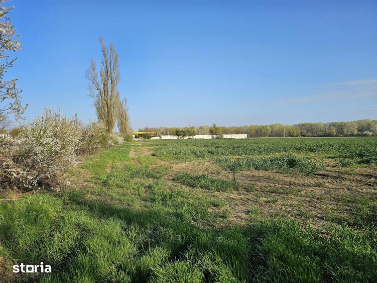 Teren de 10100 mp, în Gorgota