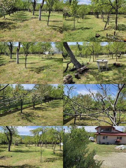 Casă cu 4 camere în Valea Popii