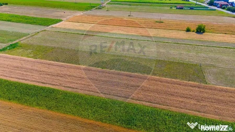 Teren de 7000 mp, în Teliu
