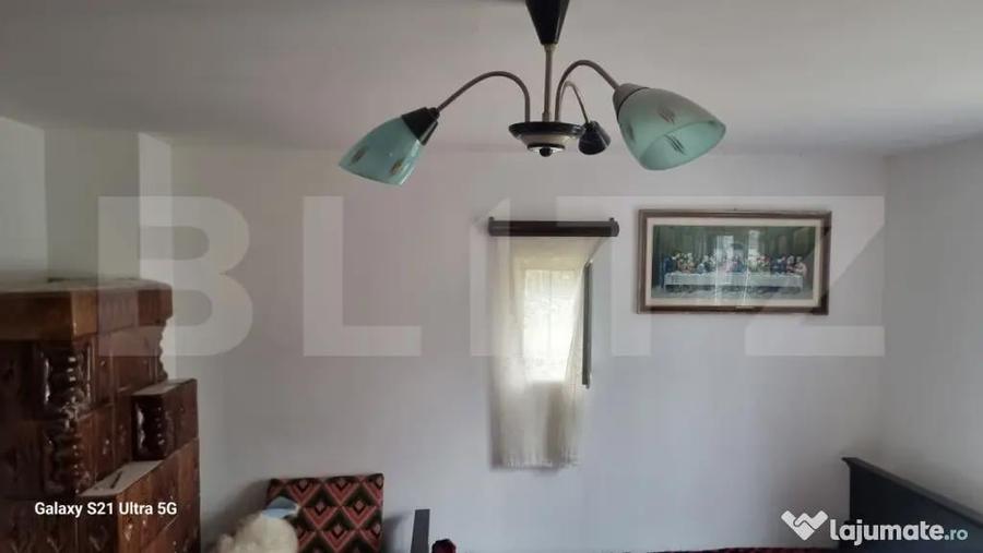 TEREN zona aer curat CASA si ANEXA - 10