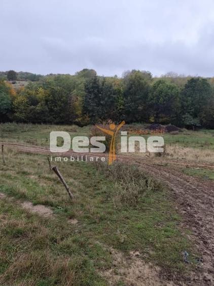 Casă cu 6 camere cu Teren 11250 Mp în Ștubeiu