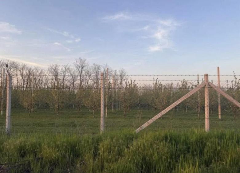 Teren de 400 mp, în Exterior Vest