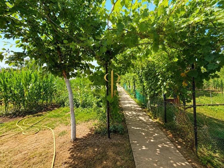 Casă cu Teren 1600 Mp în Iecea Mare