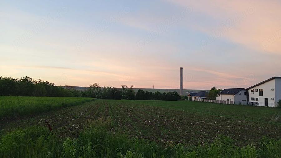 Teren de 500 mp, în Lisaura