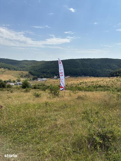Teren de 1000 mp, în Ciurila