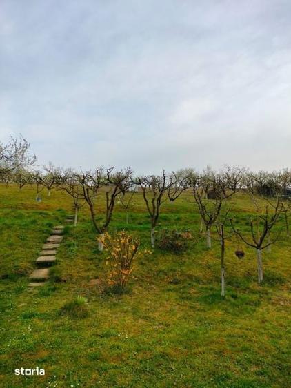 Teren de 3000 mp, în Corunca