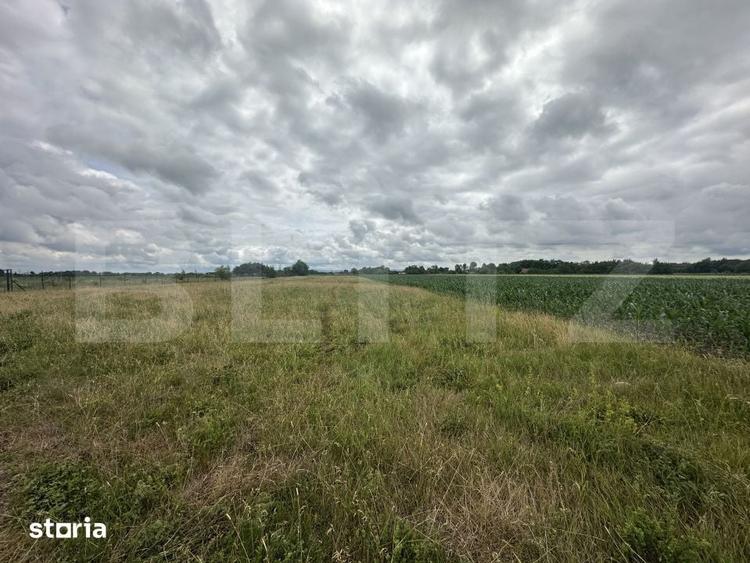 Teren de 5000 mp, în Păulești