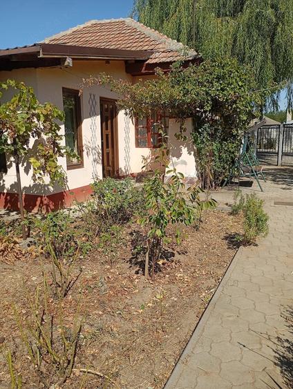 Casă cu 2 camere cu Teren 1500 Mp în Leu