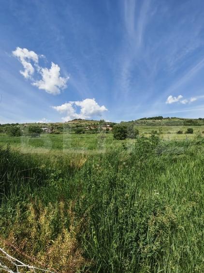 Teren agricol intravilan de 4800 mp, în Nord