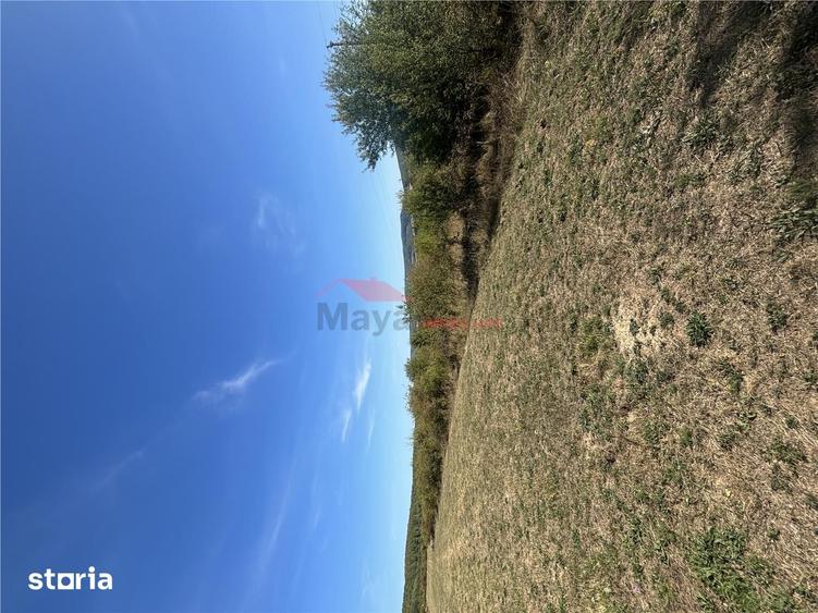 Teren de 8000 mp, în Central
