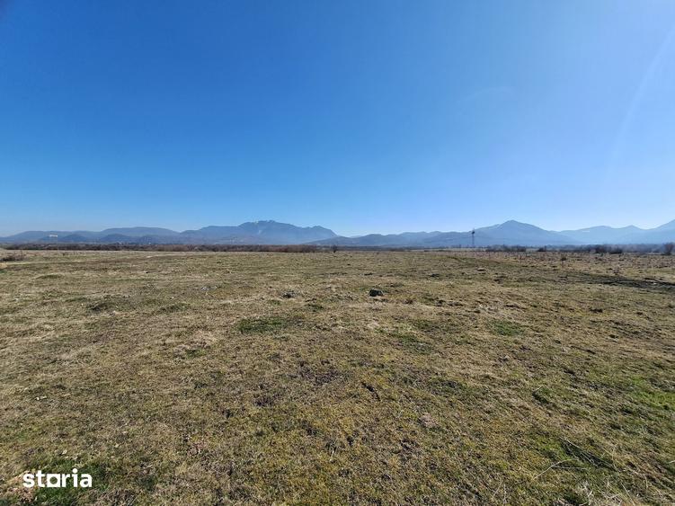 Teren de 3900 mp, în Central